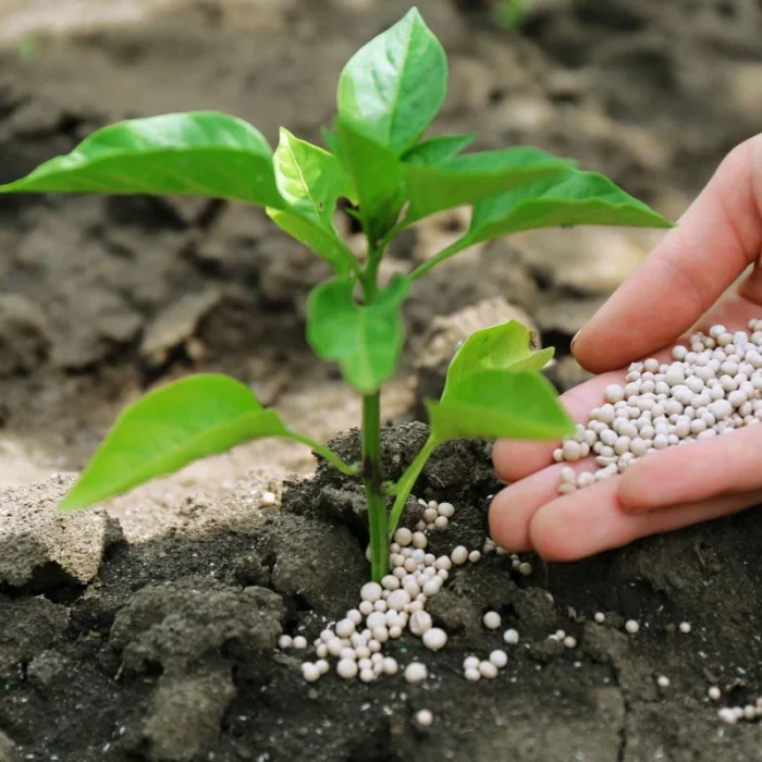 Specialty Fertilizers - Image 3